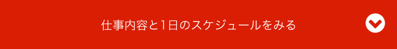 仕事内容と1日のスケジュールをみる