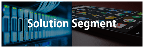 Solution Segment